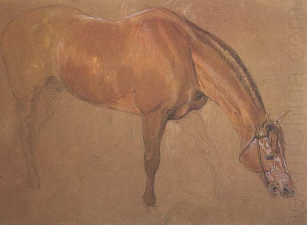 Sir edwin landseer,ra Study of a Horse (mk46) china oil painting image